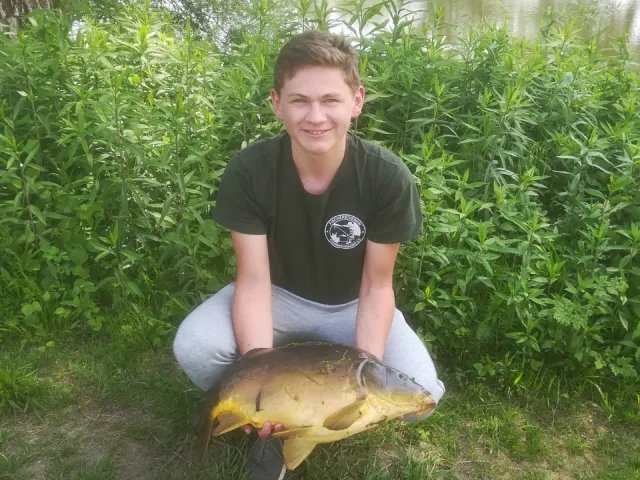 Karpfen