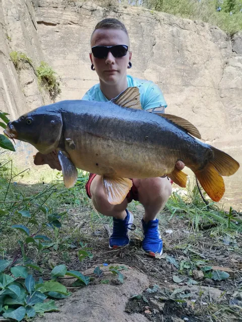 Karpfen