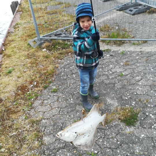 Flunder