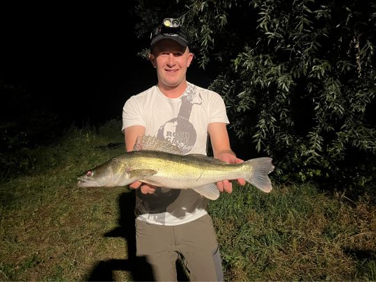 Zander