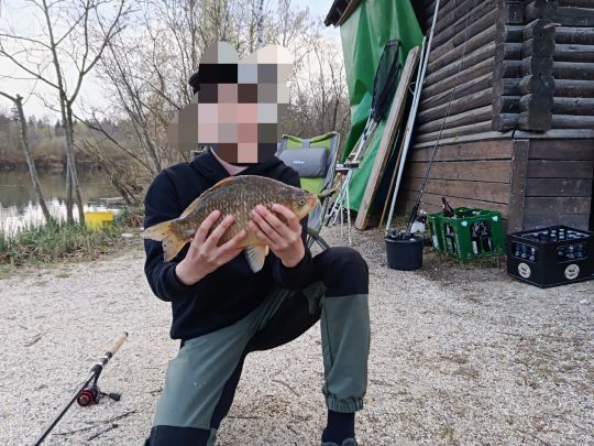 Karausche