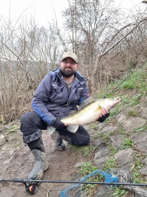 Zander