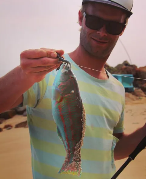 Lippfisch
