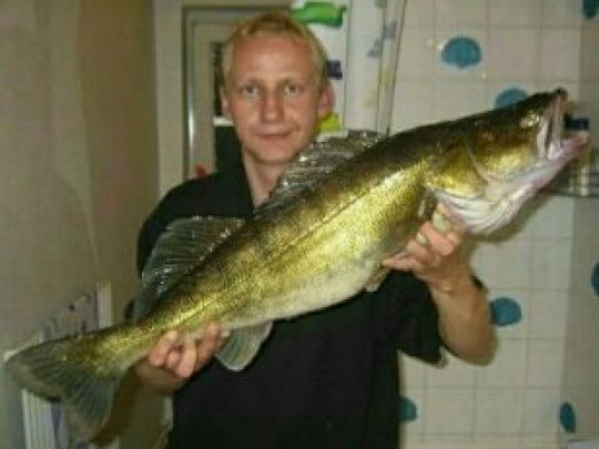 Zander