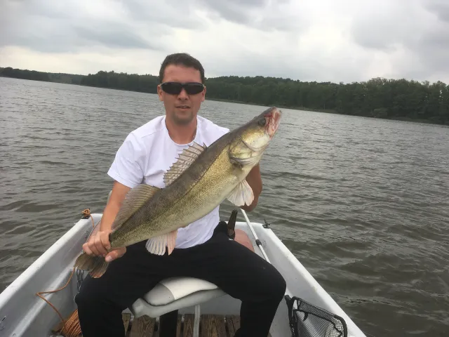 Zander