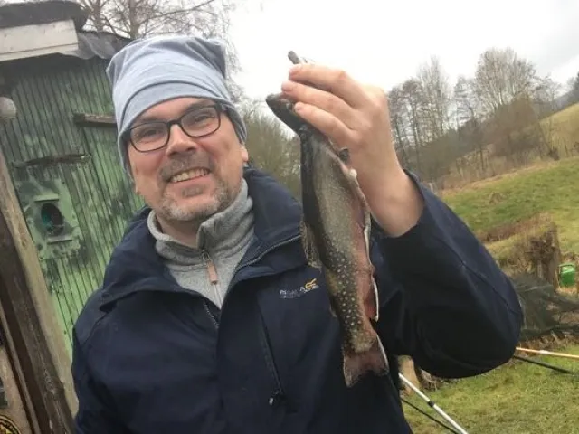 Bachsaibling