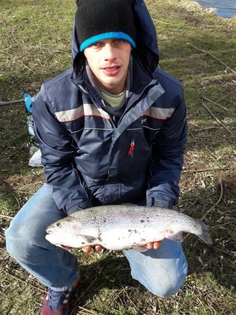 Regenbogenforelle