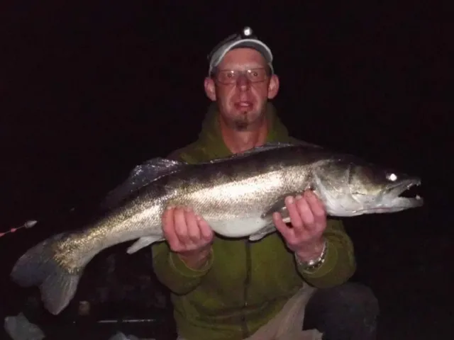 Zander