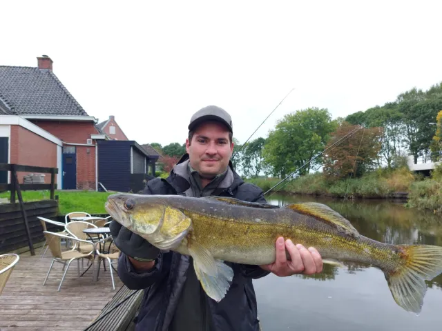 Zander