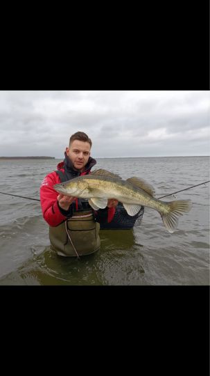 Zander