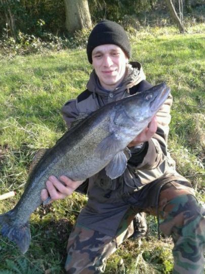Zander
