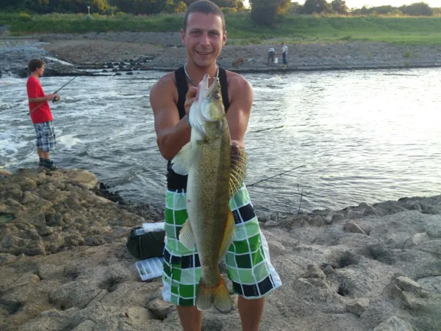 Zander