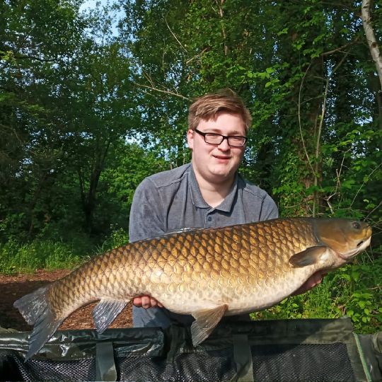 Graskarpfen