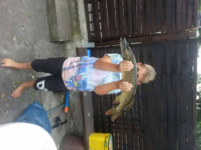Hecht