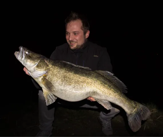 Zander