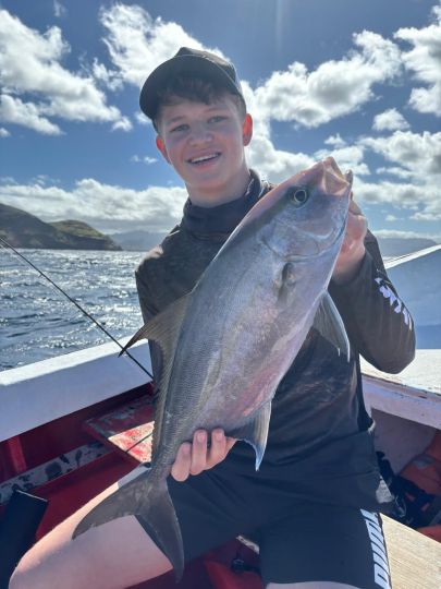Amberjack