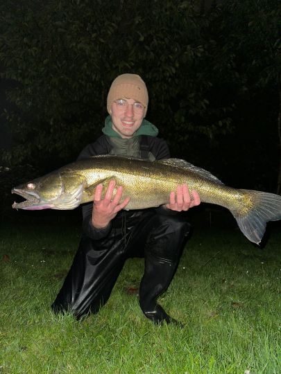 Zander