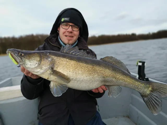 Zander