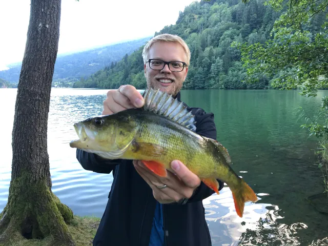 Flussbarsch