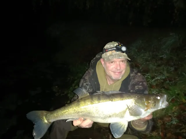 Zander