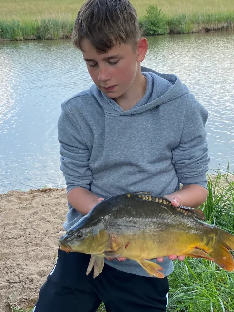 Karpfen