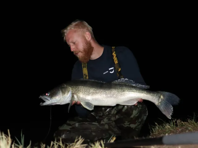 Zander