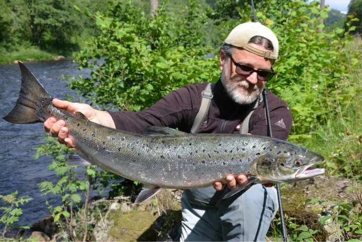 Lachs