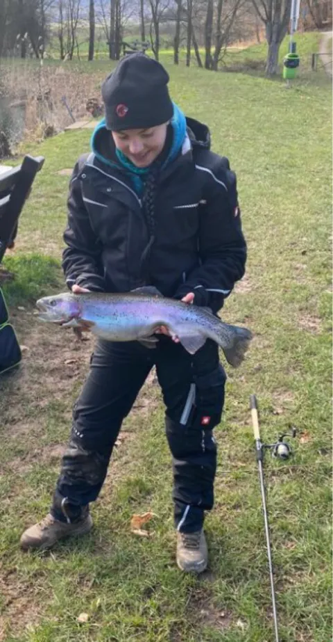 Regenbogenforelle