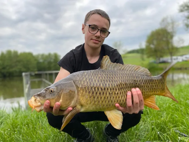 Karpfen