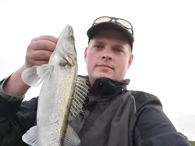 Zander