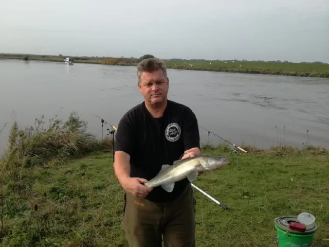 Zander