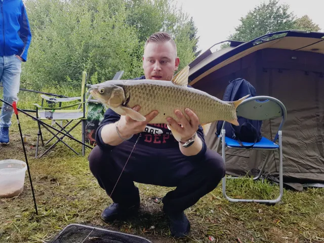 Graskarpfen