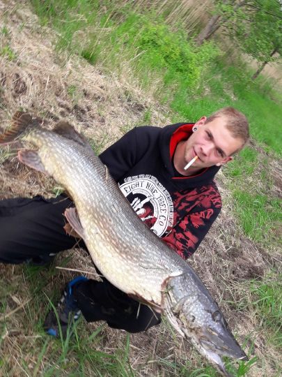 Viele fische dating app christian
