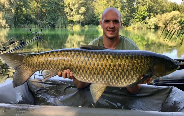 Graskarpfen