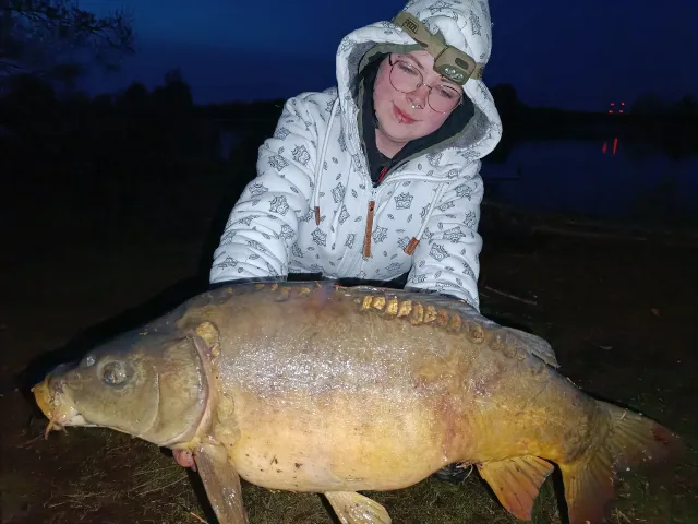 Karpfen