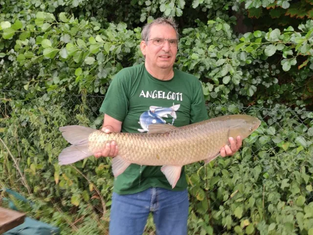 Graskarpfen