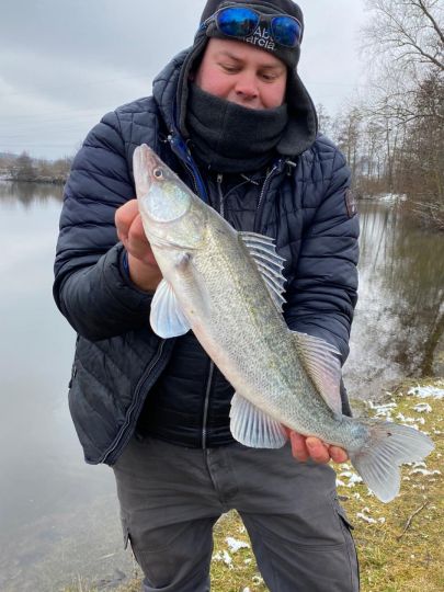 Zander