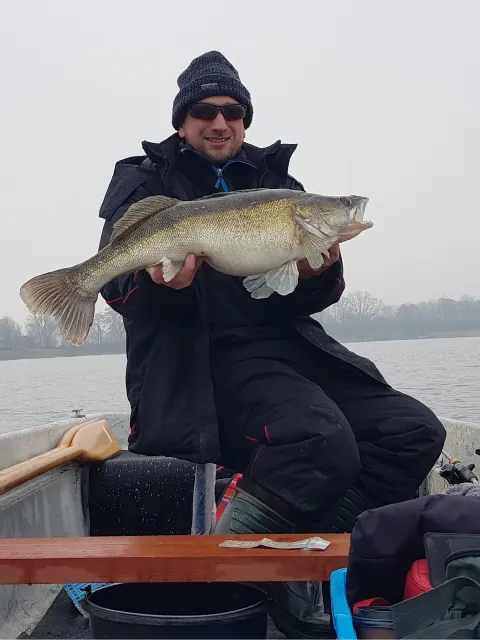 Zander