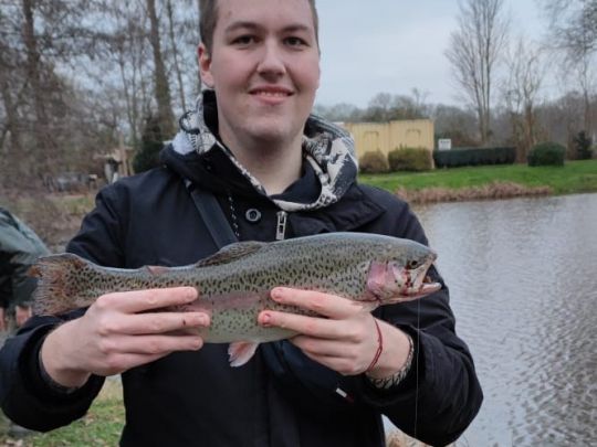 Regenbogenforelle