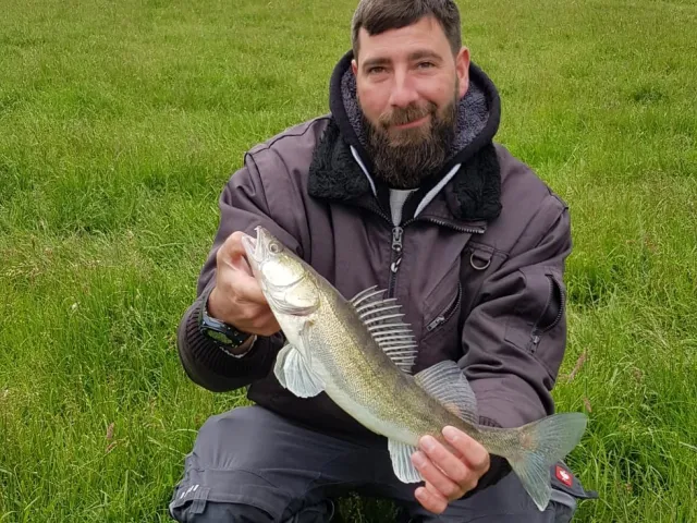 Zander