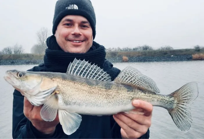 Zander