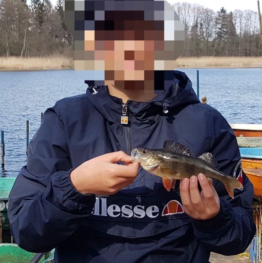 Flussbarsch