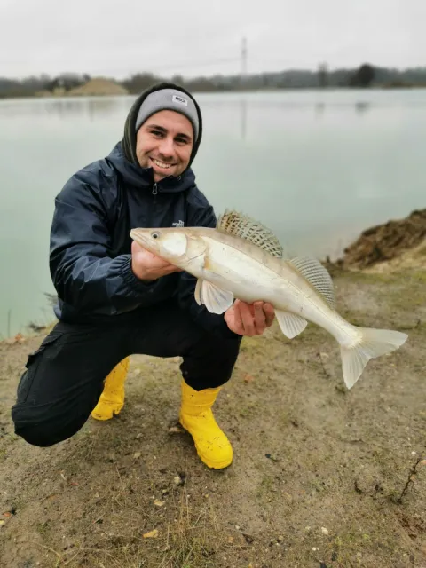 Zander