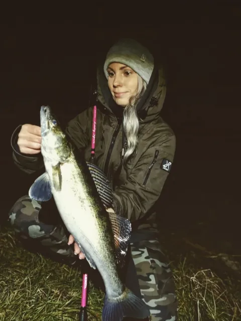 Zander