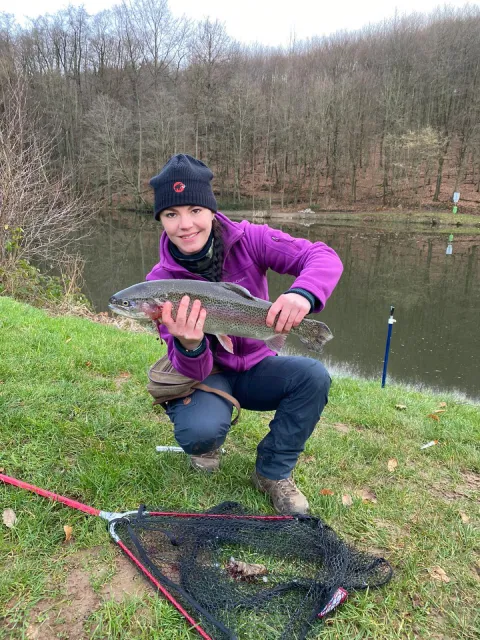 Regenbogenforelle