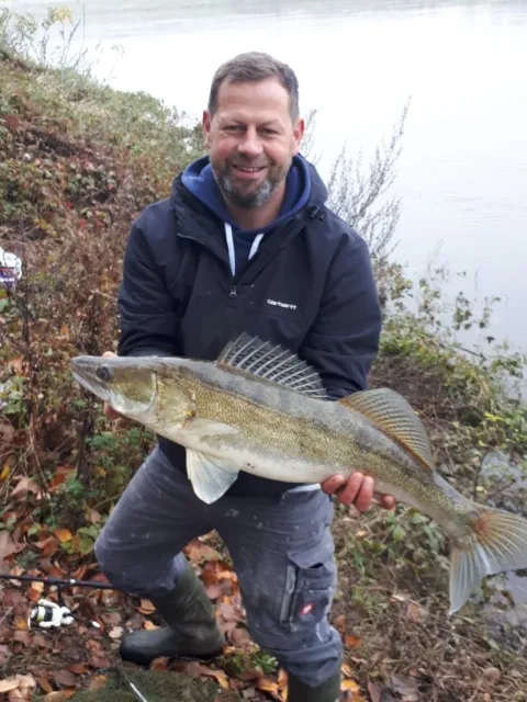 Zander