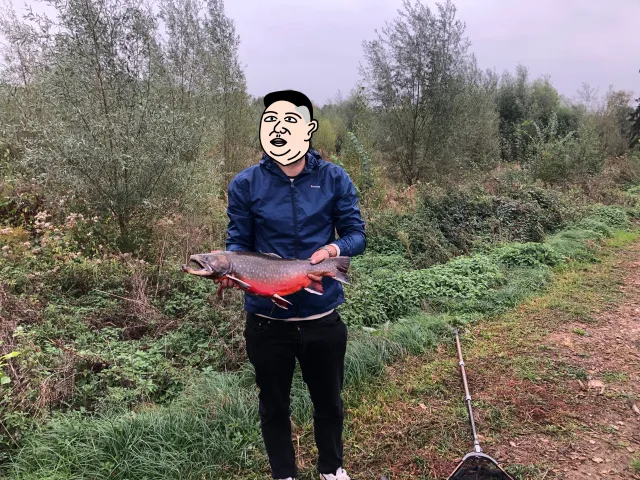Seesaibling