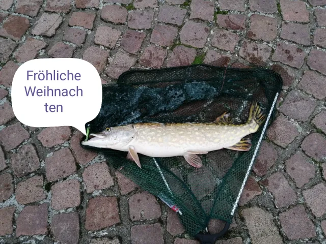 Hecht
