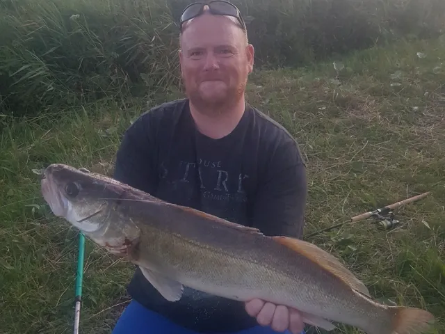 Zander