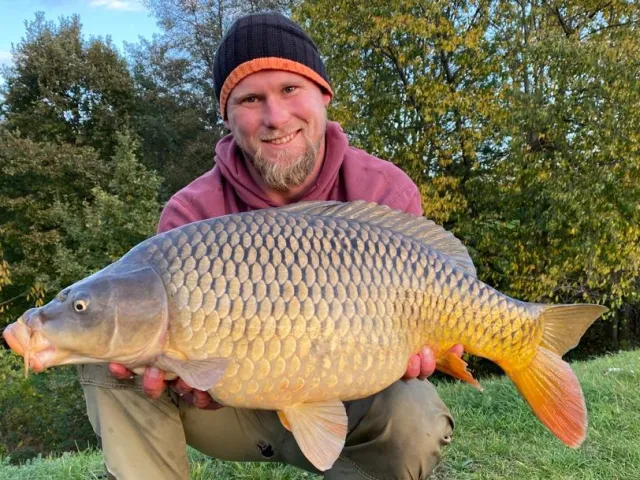 Karpfen